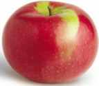 macintosh apple fruit tree seed seedling